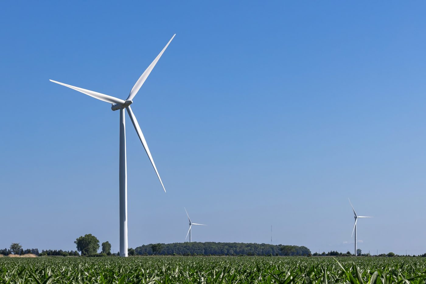 Des éoliennes dans un champ en Ontario